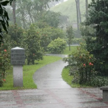 六月的广东炎热又下雨